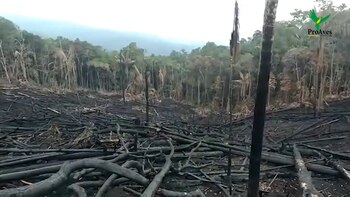 ONG denunció que cerca a