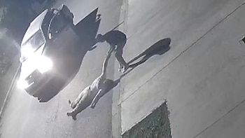 Al observar el ataque, un