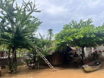 Vista de una casa de madera y paja rodeada por agua marrón de inundación, con un bote, una escalera y dos árboles frondosos bajo un cielo nublado