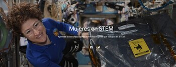 Las empresas de STEM dicen