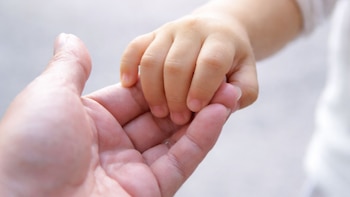 La ley amplía las garantías