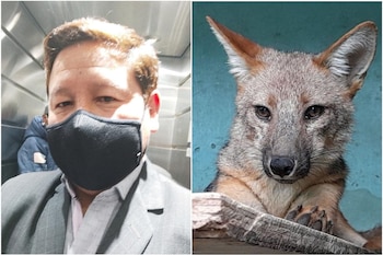 Bellido fue presidente del Consejo