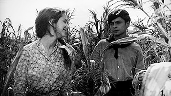 Don Segundo Sombra se centra