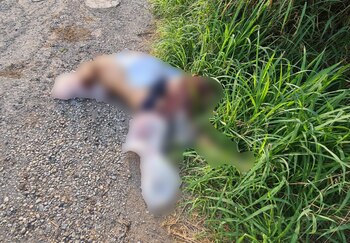 Las extremidades estaban en bolsas