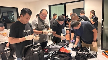 El allanamiento en el equipaje