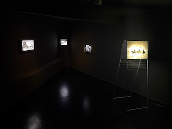 Maxi Venturini - Sergio Lamanna - galería Cecilia Caballero