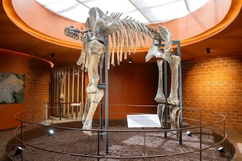 Museo del Mamut en el