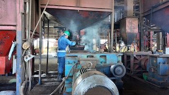 Del cultivo de coca a