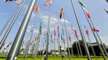 NOCs Quizzed About Olympic Ticket