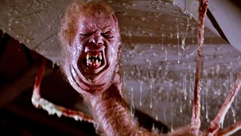 Películas que fueron inspiradas por el fenómeno starjelly