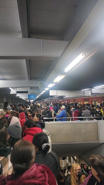 Avance en tiempo real de