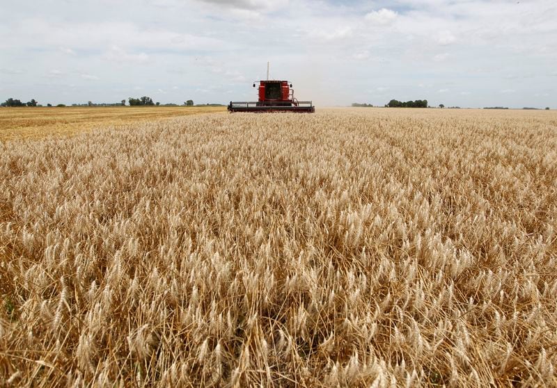 En sólo cuatro años, 6.500 productores dejaron de sembrar soja: por qué  ocurre y a qué granos rotaron - Infobae
