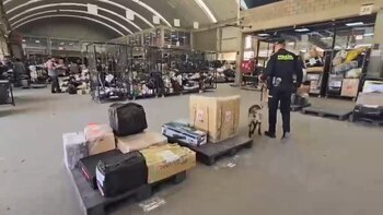 La Seccional de Carabineros y Protección Ambiental realizó los controles que permitieron detectar la encomienda con droga - crédito Mebog