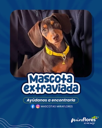 Foto; Municipalidad de Mirafores