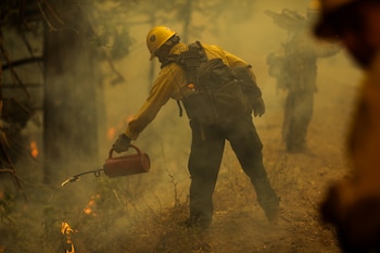 El Servicio Forestal de Florida reporta que solo se ha logrado contener el 15% del frente de 1.500 acres consumidos por el fuego en Naples. (REUTERS/David Swanson)