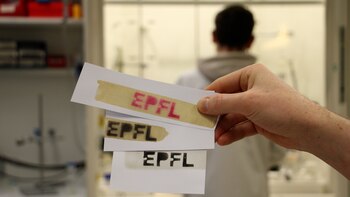 Papel de recibo más seguro fabricado a partir de madera