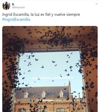 (Foto: Twitter @brisaruch)