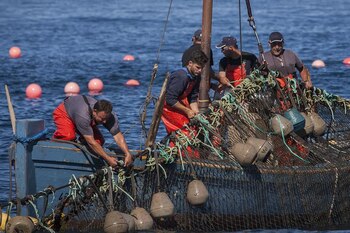 Pescadores.