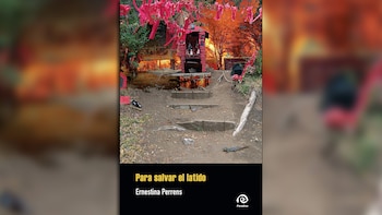 "Para salvar el latido" (Paradiso