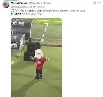 El “oso” del DIM: una tradición que se repite cada semestre, según los memes - crédito @CAVsulas/X