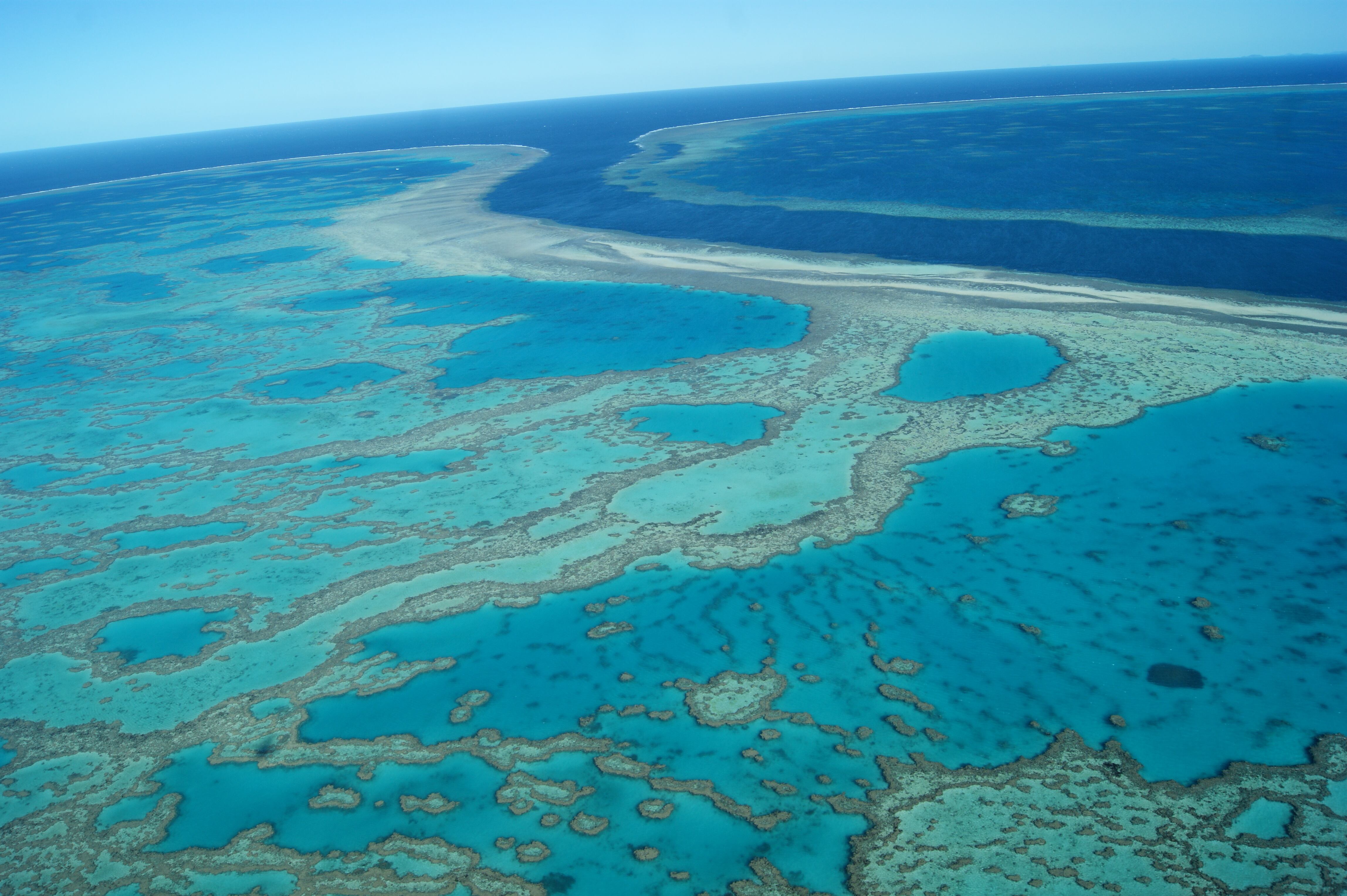 La Gran Barrera de Coral, en Australia (Adobe Stock).