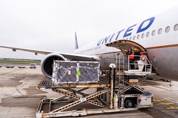 Para finales de diciembre esperan