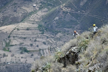 Natacha de Crombrugghe