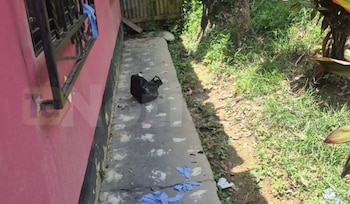 El caso de una bebé recién nacida abandonada en el barrio Mónaco de Vegachí, Antioquia, ha generado conmoción y repudio en la región. El hallazgo, ocurrido durante la madrugada del miércoles 26 de agosto de 2026, puso a prueba la capacidad de reacción de las autoridades y la solidaridad de la comunidad local - crédito redes sociales