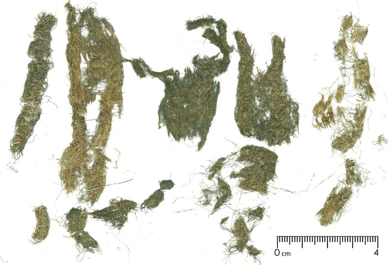 El ADN identificó una línea materna rara de origen escandinavo, pero los isótopos dentales mostraron que la joven creció en el área local de Pień. (sciencedirect.com)
