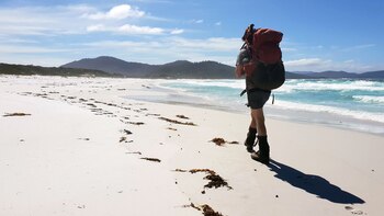 Una empresa paga 3.400 dólares