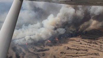 Sequía histórica en Estados Unidos genera alerta por incendios, crisis hídrica y alza de precios en alimentos
