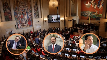 Cámara y Senado lamentaron la