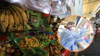 Científicos señalan que es fundamental