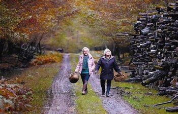 Una imagen de 'Cuando cae el otoño', la nueva película de François Ozon que llega a los cines españoles este viernes