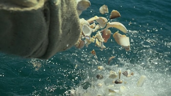 Costa Rica revoluciona la protección