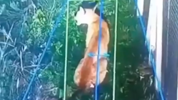 Preocupación en un barrio privado