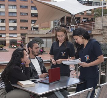 El programa de Trabajo social