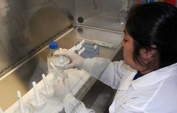 INS detecta el virus de