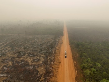 Nueva evidencia científica impulsa la