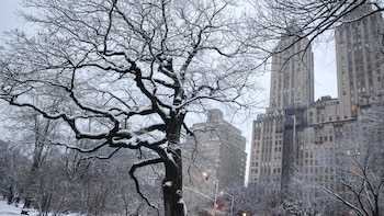 Nueva York se alista para