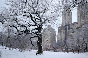 Nieve en Central Park (REUTERS/Caitlin