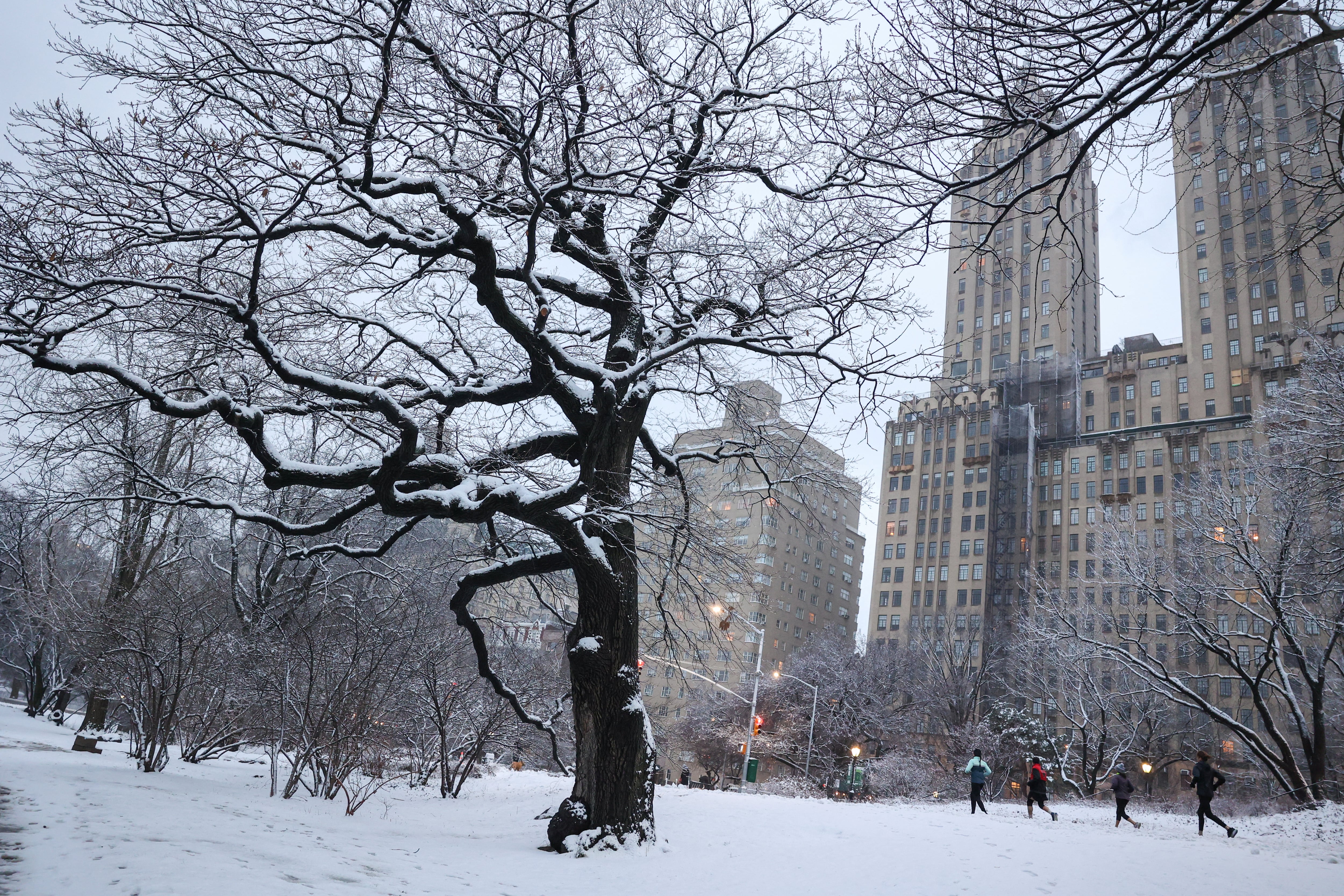 La tormenta invernal en Nueva York pronostica la mayor acumulación de nieve en tres años a partir del 26 de diciembre de 2025. (REUTERS/Caitlin Ochs)