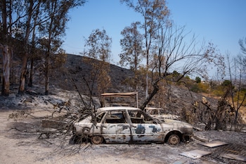 Imágenes de la zona afectada por el incendio de Los Gallardos, a 12 de julio de 2026 en Los Gallardos, Almería (Andalucía, España). (Francisco J. Olmo/Europa Press)