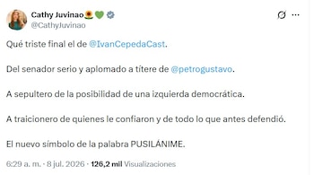 Cathy Juvinao calificó a Iván Cepeda como un "títere" del presidente Gustavo Petro - crédito @CathyJuvinao/X