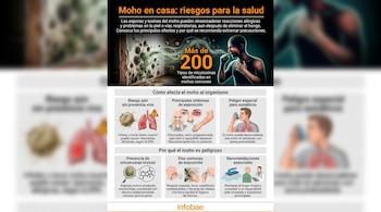 Infografía con título 'Moho en casa: riesgos para la salud'. Muestra pared con moho, persona tosiendo, ilustraciones de síntomas, exposición y prevención. Incluye texto informativo.