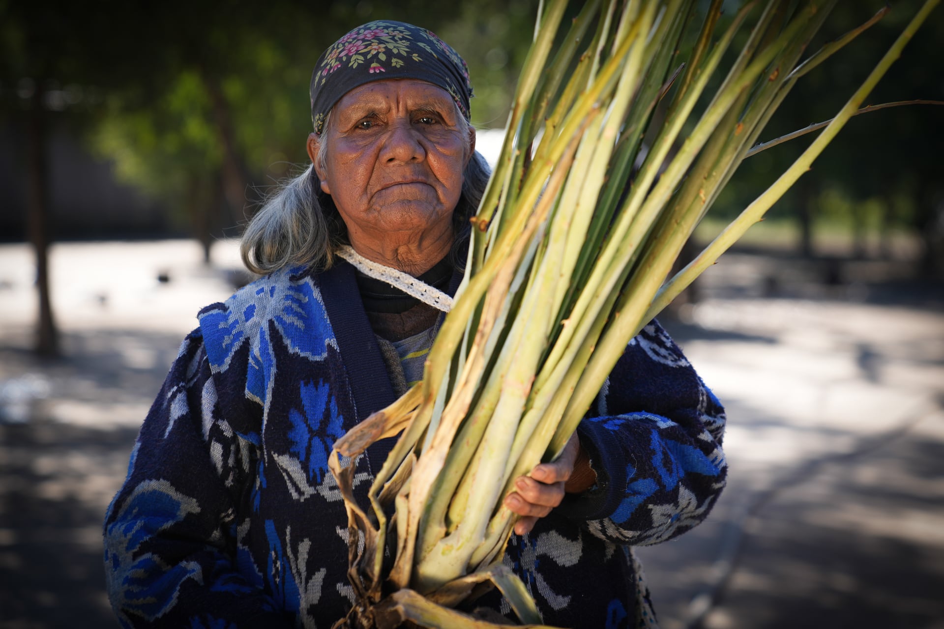 La cacica wichí Jorgelina, líder de la comunidad en Tartagal, posa con su amado chaguar que hoy escasea por el impacto del cambio climático. Puro saber ancestral
