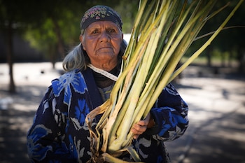 La cacica wichí Jorgelina, líder de la comunidad en Tartagal, posa con su amado chaguar que hoy escasea por el impacto del cambio climático. Puro saber ancestral