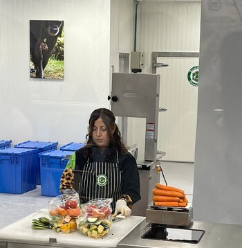 Los visitantes podrán acudir y