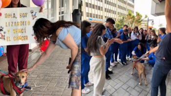 La Fundación Por Amor A