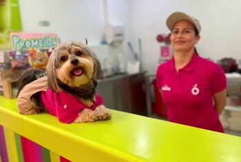 El ‘Celadog’ no solo vigila,